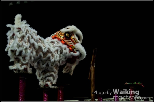 2016-01-09 Lion & Dragon Dance 0032