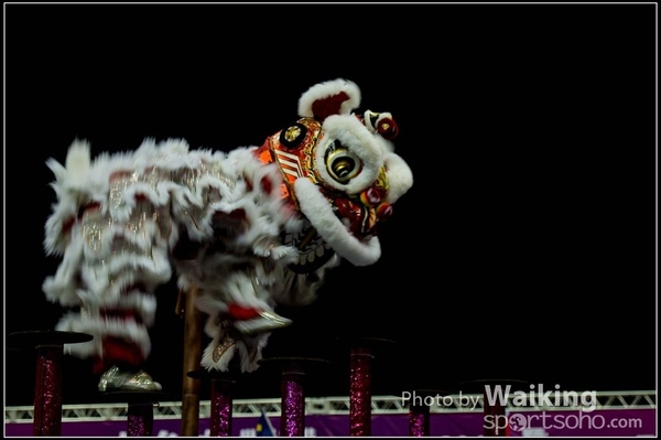 2016-01-09 Lion & Dragon Dance 0033