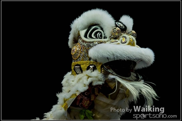 2016-01-09 Lion & Dragon Dance 0039