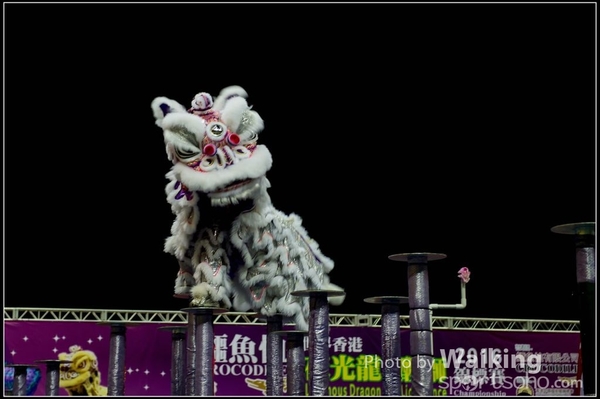 2016-01-09 Lion & Dragon Dance 0058