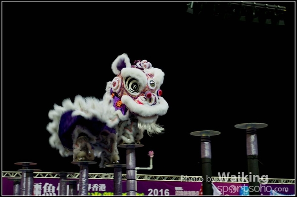 2016-01-09 Lion & Dragon Dance 0060