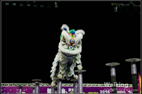 2016-01-09 Lion & Dragon Dance 0075