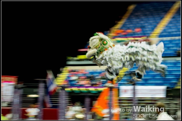 2016-01-09 Lion & Dragon Dance 0079