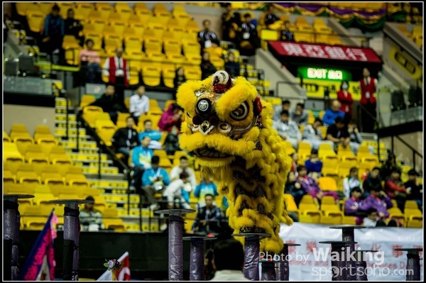 2016-01-09 Lion & Dragon Dance 0083