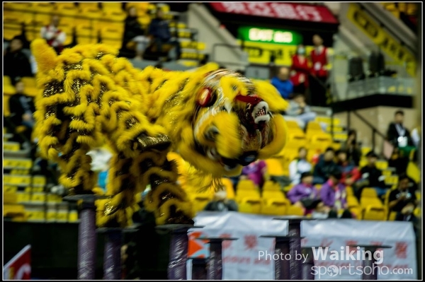 2016-01-09 Lion & Dragon Dance 0085