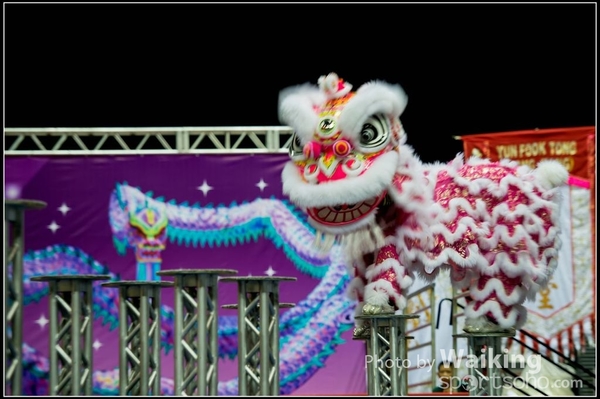 2016-01-09 Lion & Dragon Dance 0088