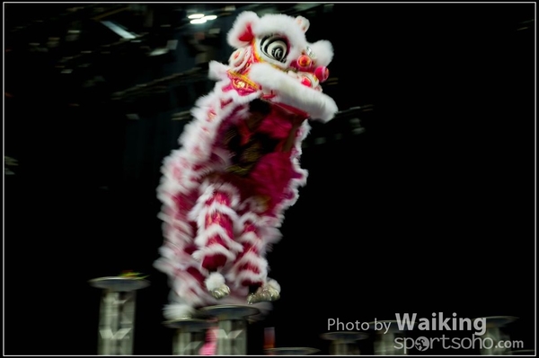 2016-01-09 Lion & Dragon Dance 0098