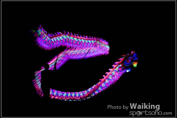 2016-01-09 Lion & Dragon Dance 0102