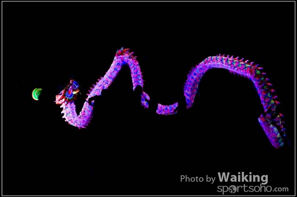 2016-01-09 Lion & Dragon Dance 0106