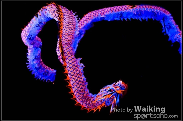 2016-01-09 Lion & Dragon Dance 0122