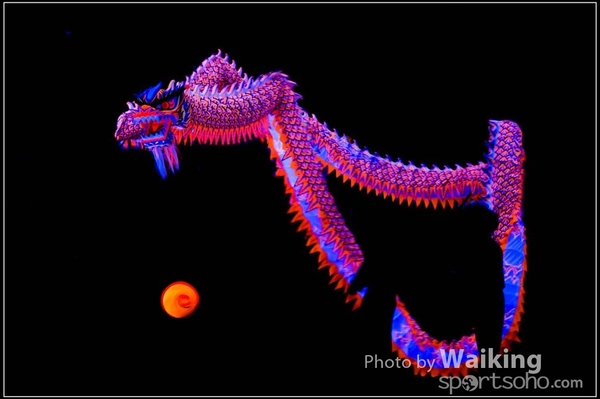 2016-01-09 Lion & Dragon Dance 0138