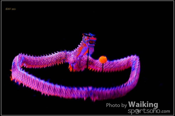 2016-01-09 Lion & Dragon Dance 0139