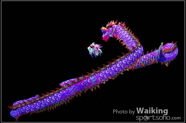 2016-01-09 Lion & Dragon Dance 0166