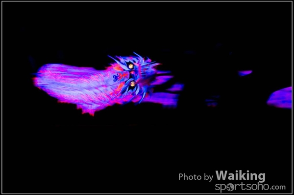 2016-01-09 Lion & Dragon Dance 0177