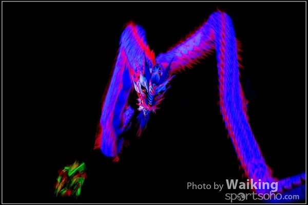 2016-01-09 Lion & Dragon Dance 0213