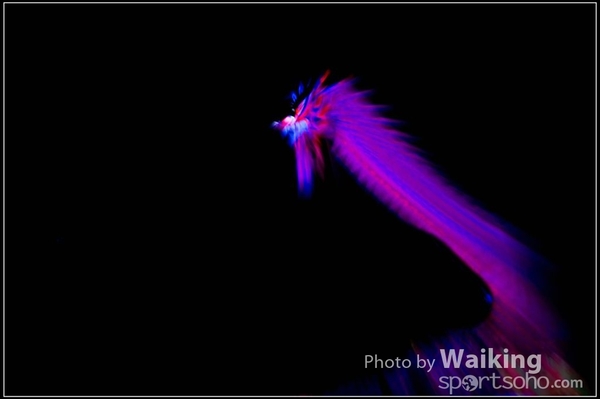 2016-01-09 Lion & Dragon Dance 0226