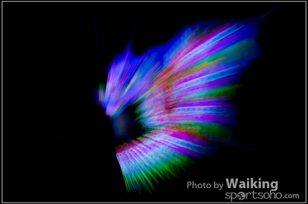 2016-01-09 Lion & Dragon Dance 0235