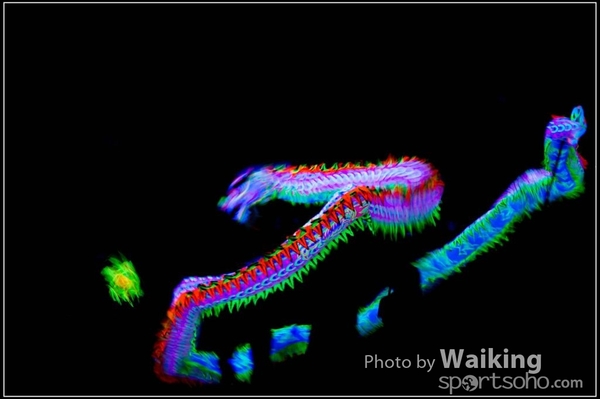 2016-01-09 Lion & Dragon Dance 0243