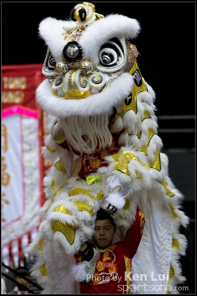 20160110LION120