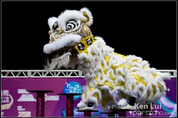 20160110LION121