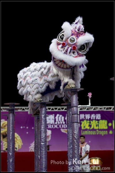 20160110LION133