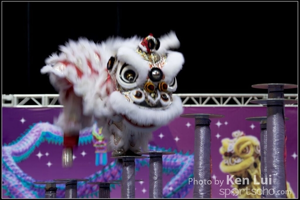 20160110LION141