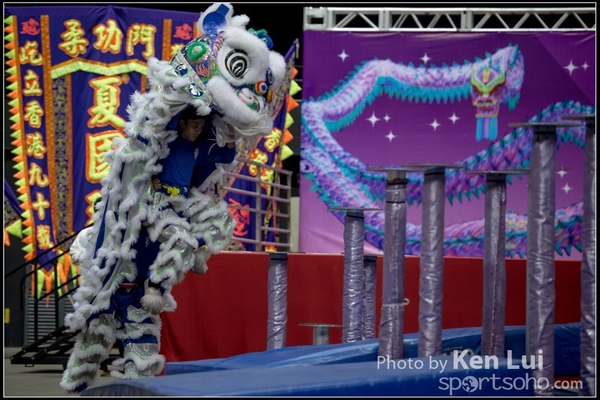 20160110LION148