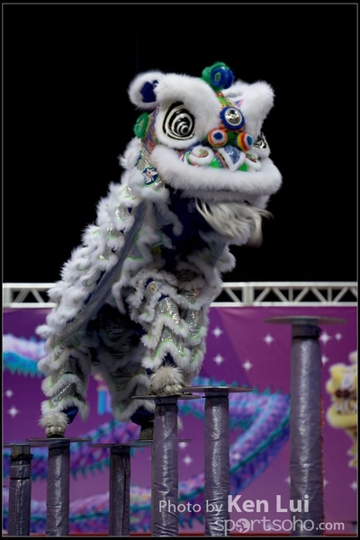 20160110LION150