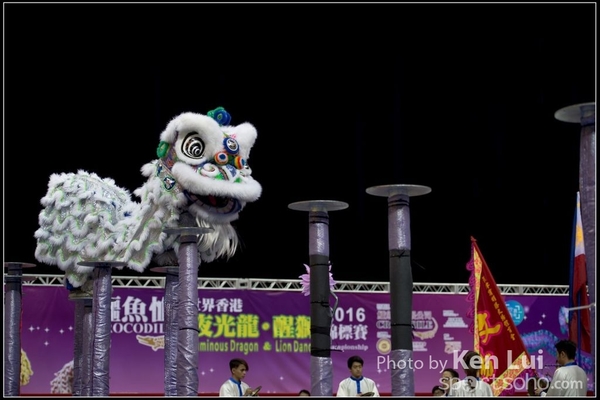 20160110LION154