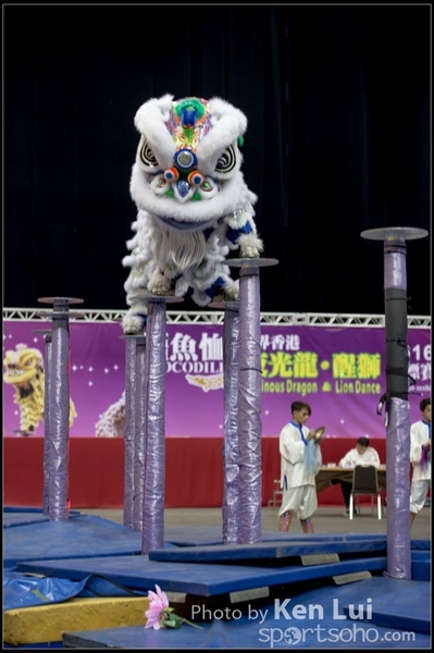 20160110LION156