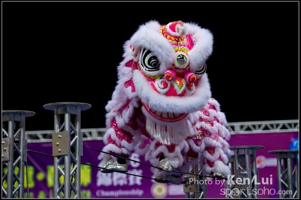 20160110LION172