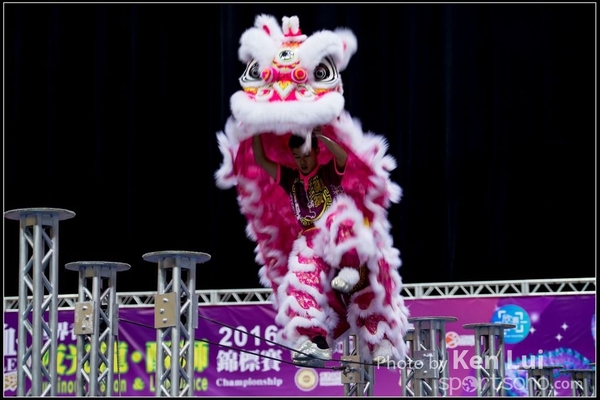 20160110LION173