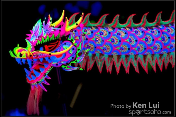 20160110LION215