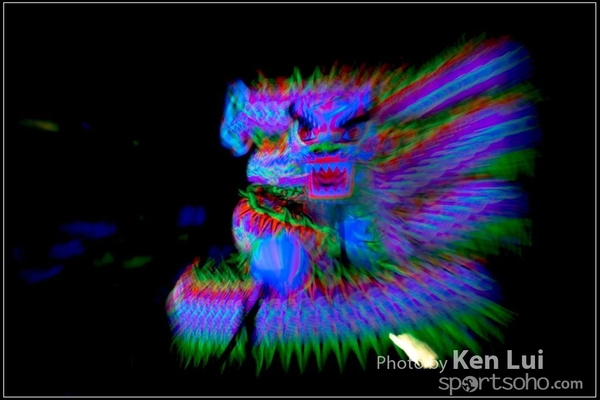 20160110LION259