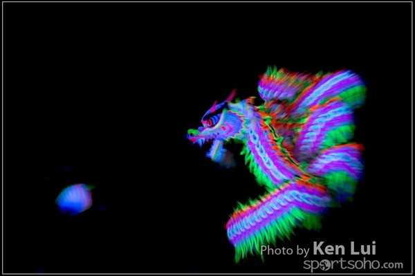 20160110LION261