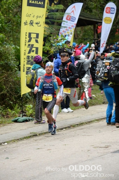 HK100 (81)