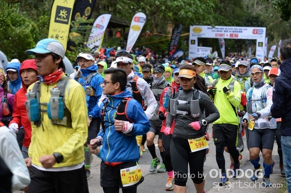 HK100 (96)