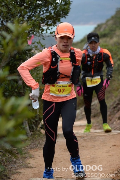HK100 (203)