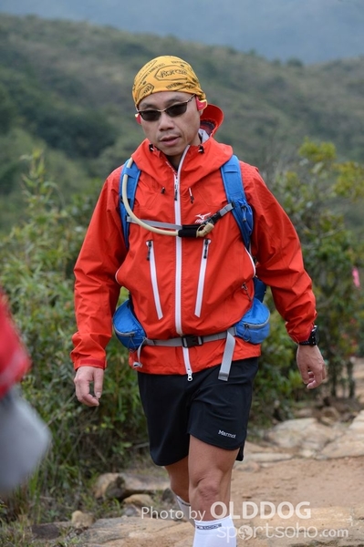 HK100 (733)