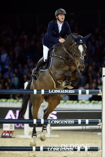 LongineD2 (171)
