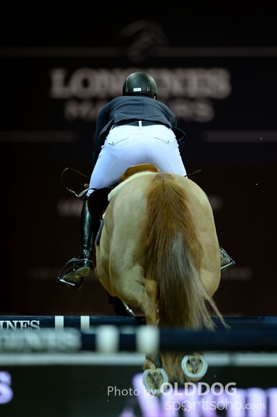 LongineD1 (6)