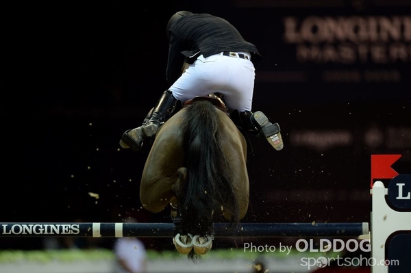 LongineD1 (46)