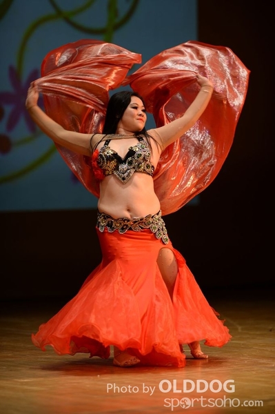 Belly Dance (4)