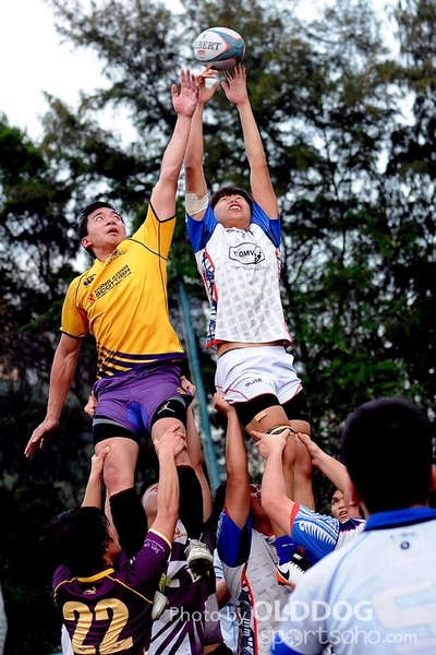 City Rugby (16)