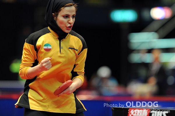 Table Tennis (27)