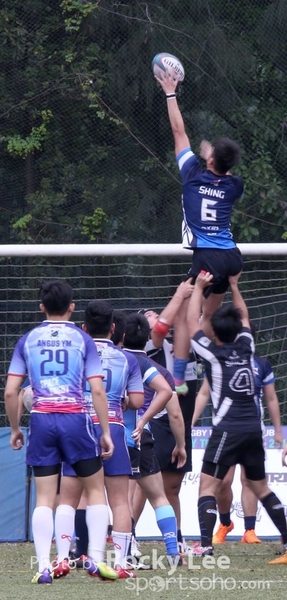 IMG_8511 copy