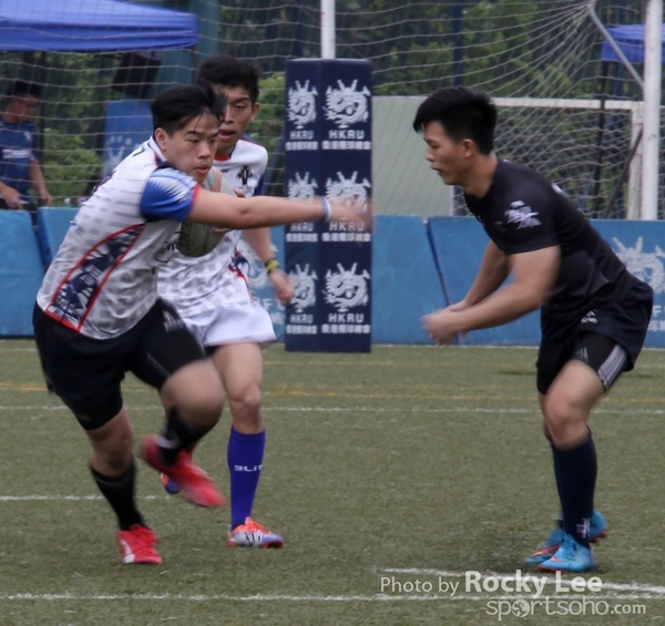 IMG_8521 copy