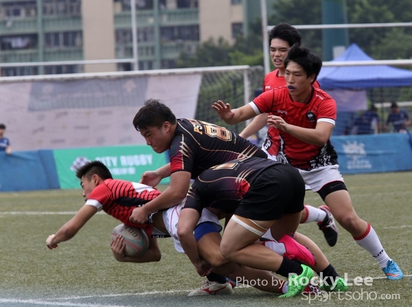 IMG_8647 copy