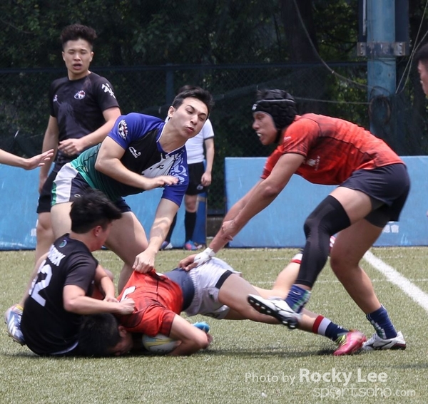 IMG_8681 copy