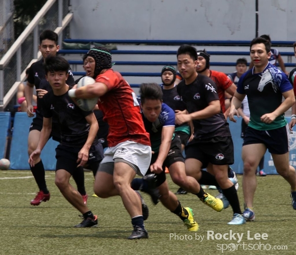 IMG_8687 copy